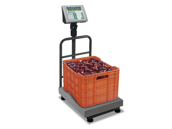 Báscula de Plataforma Advance Plegable 200 kg Rhino - Imagen 3