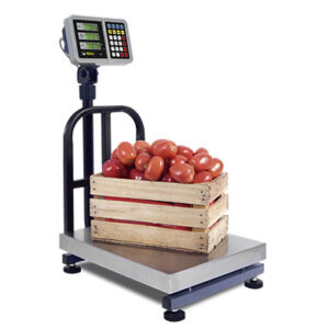 Báscula de Plataforma Plegable 200 kg Rhino